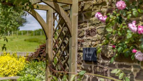 Robin's Nest - Foto 3