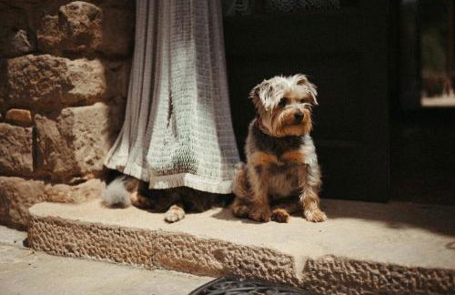 Mas Valoria - Foto 19