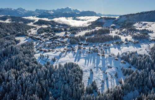 Les Pralyssimes 462 - Foto 23