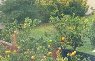 HAUT VILLA MESANGES EN BORD DE MER ! - Foto 29