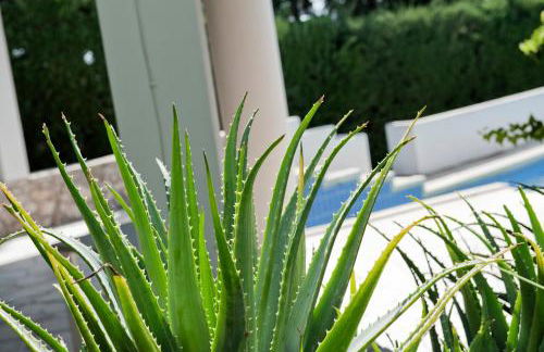 Villa Aurea - Foto 13