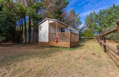 L’oliveraie Écuries Mas di Gau - Foto 30