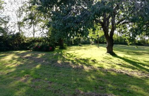 Das Apfelhaus - Foto 11