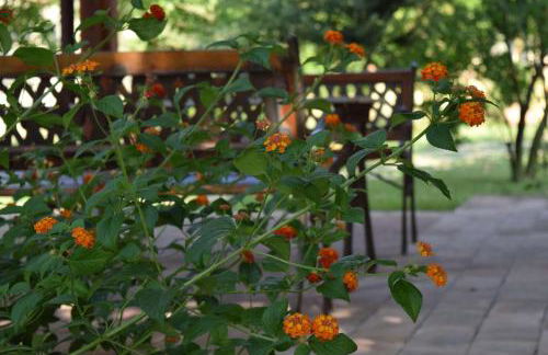 Agriturismo Podere Bedin - Foto 10