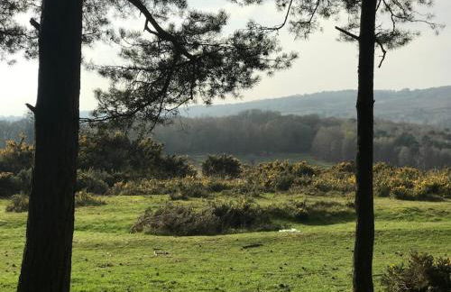 Swanky & Spacious Luxury 3 Bed - Foto 40