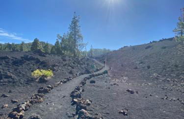 Sea view terrace in Las Americas - Foto 37