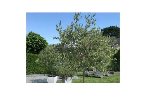 Holiday Apartment Summer Breeze - Foto 77