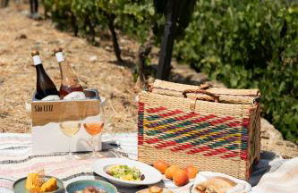 Quinta São Luiz The Vine House Douro - Foto 42