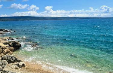 EUCALYPTUS - Foto 18