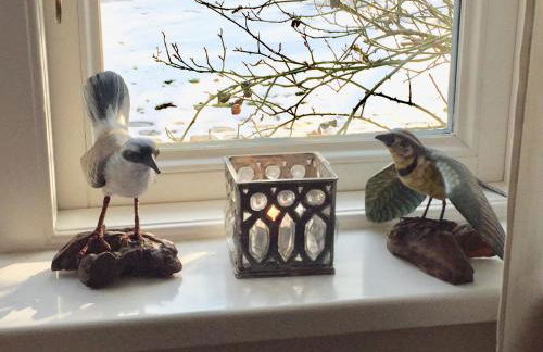 Waldmühle - Foto 45