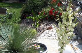 Ferienwohnung Pension am Weinberg - Foto 17