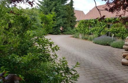 Hofgestüt Bleesern FEWO2 - Foto 16