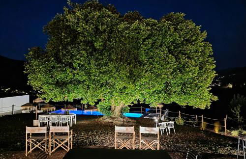 Exclusive Pena Rio - Foto 78