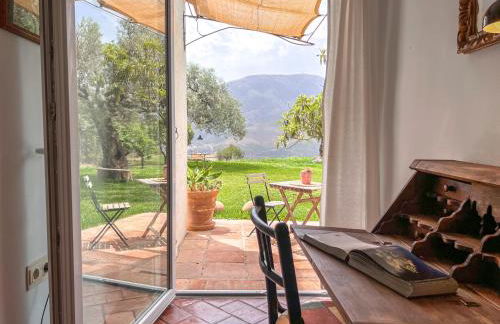 Tropical Studio - Foto 26