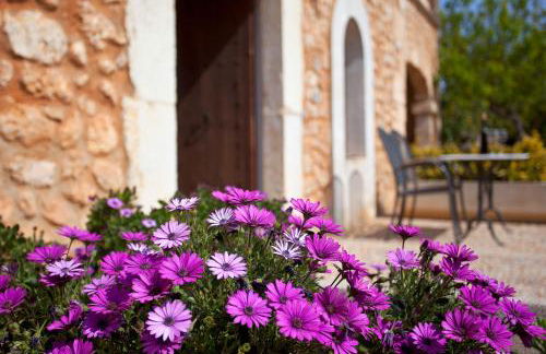 Agroturismo Es Quatre Cantons - Photo 35