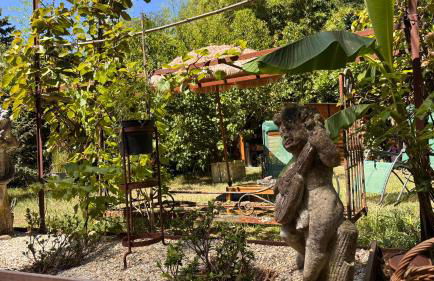 Le Petit Bois d'Amour - Foto 5