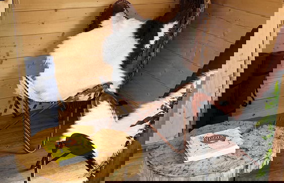 Kabanéo - Gîte et Sauna- Samois sur Seine - Forêt de Fontainebleau - Foto 33