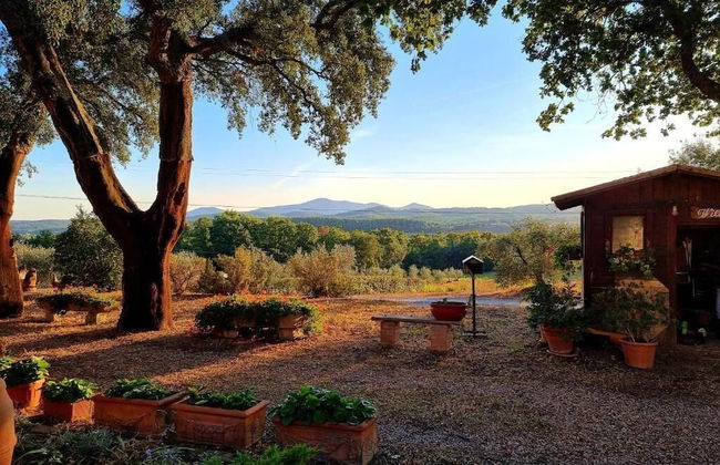 Poggio La Buca - Agriturismo - Foto 36