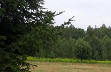 Dom na Kresach Grzybowszczyzna - Photo 33