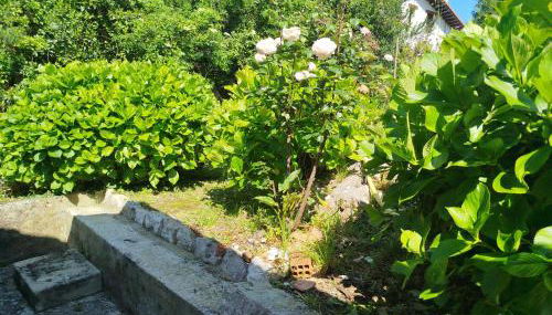 Casa Raquel - Foto 5