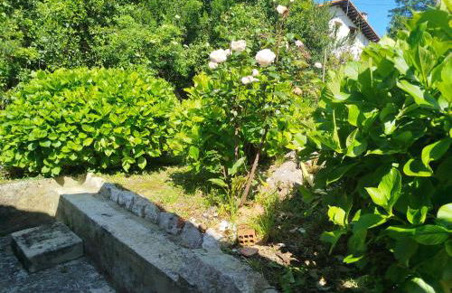 Casa Raquel - Foto 5