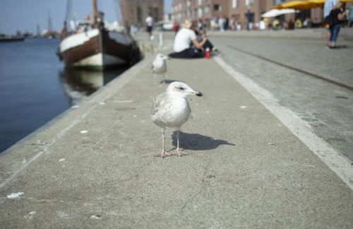 Gemuetlicher Bungalow mit Garten UND Whirlpool in Nakenstorf - Foto 66