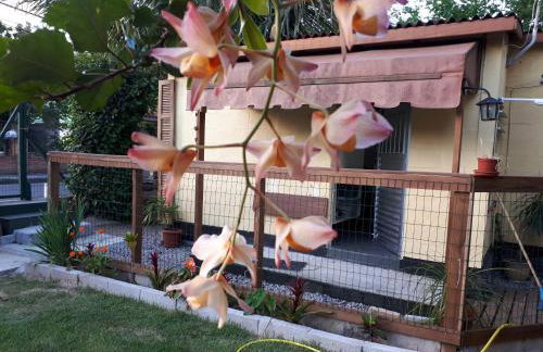 Mini casa (kit net) - Foto 8