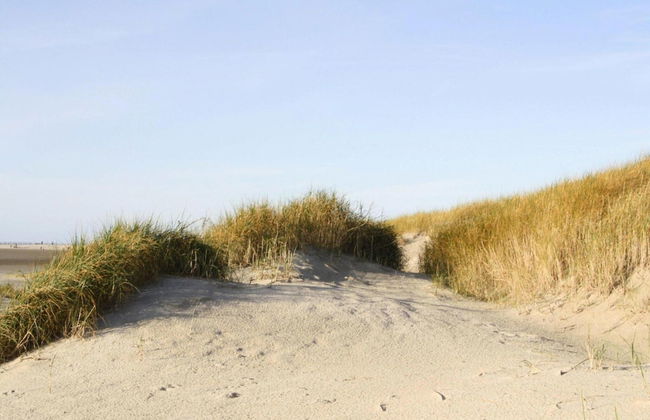 Ferienwohnung, St. Peter-ording - Foto 26