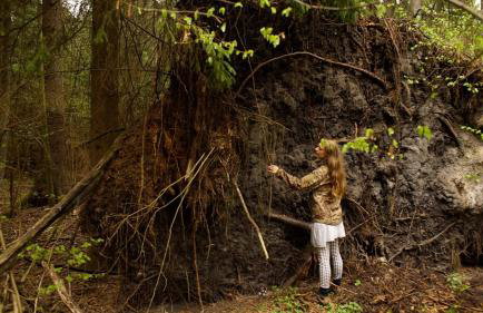 Maciejówka Borki 33 - Foto 39