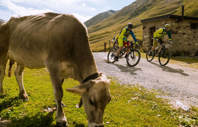 Residence Bait da Mott - Photo 24