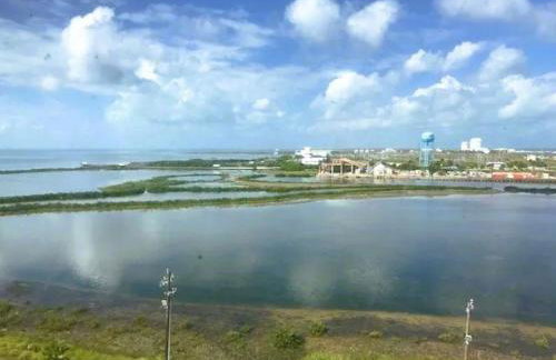 South Padre Stayz - Foto 8
