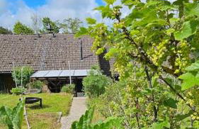 Bergsuite Schwarzwald - Foto 9