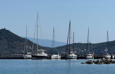 BLOOM Studios - Foto 42