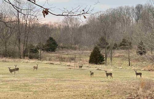 Romantic Cabin w Hot Tub Near Carbondale - Foto 39