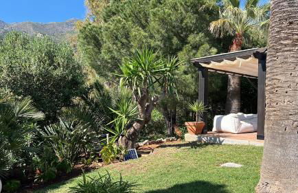 El Cortijo - Photo 30