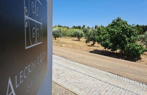 Alecrim d'Aldeia - Foto 31