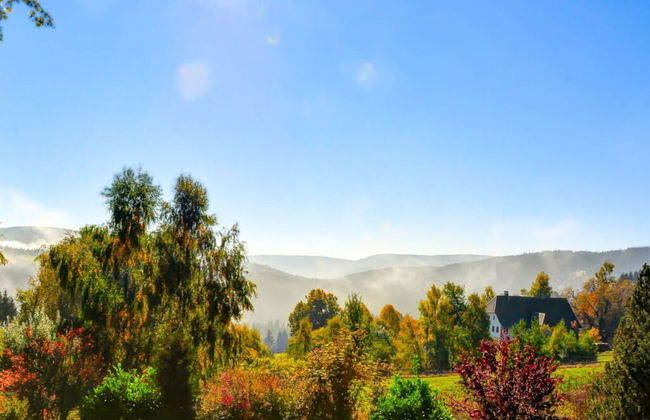 Holiday Home Black Forest - Foto 11