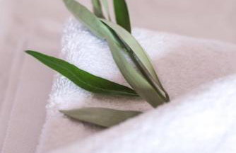 Olea Escape Villa in an Olive Estate - Foto 19