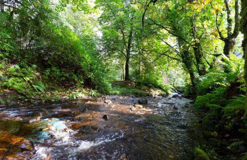 Argyll Barn - Foto 16