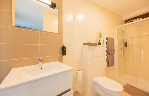 Gîte Moulin du Magne - Douzy - Foto 29