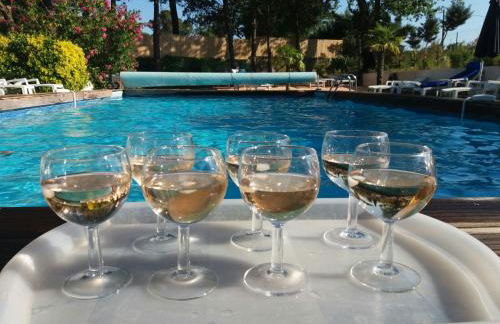 Résidence Miro, gîtes équipés été et hiver, tennis, piscine - Foto 72