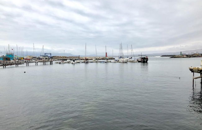 RQ Antofagasta - Photo 5