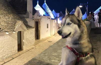 Casa vacanze Villa Tiziana Chalet di campagna - Foto 65