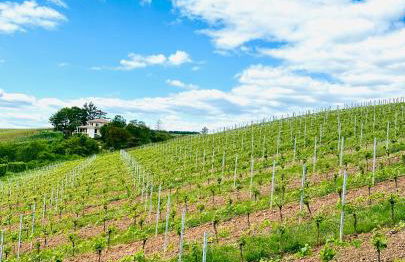 Highlife Apartment Bad Kreuznach ONE - Foto 23