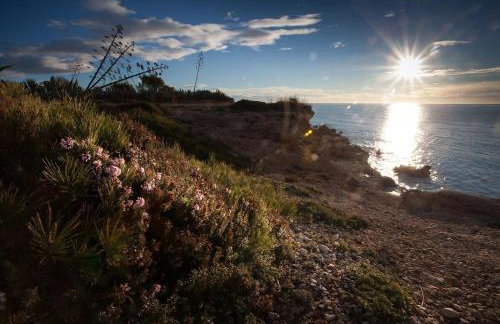 Villa with great pool dog friendly - Foto 27