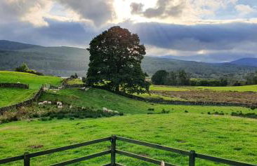 Fauld O Wheat Shepherds Hut , Loch Ken ,Off Grid - Foto 12
