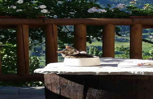 Chalet in Aosta near Pila Ski Lifts - Photo 41