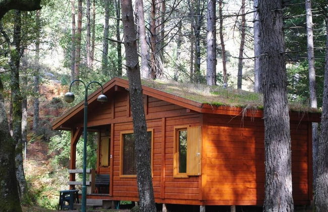 Bungalows da Peneda - Foto 14