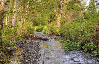 Whitehorse Mountain Retreat - Hot tub - Fireplace - Foto 42