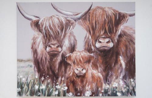 Wellington - Telford house - With parking - Foto 14